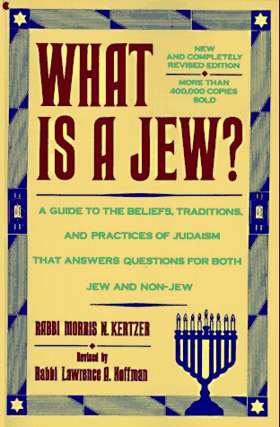 9780020332824: What is a Jew?