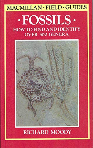 Stock image for Fossils : How to Find and Identify over 300 Genera for sale by Better World Books