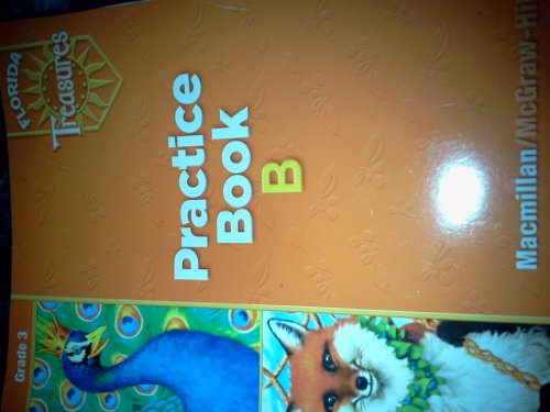 9780022007645: Practice Book B Grade 3 (Florida Treasures)