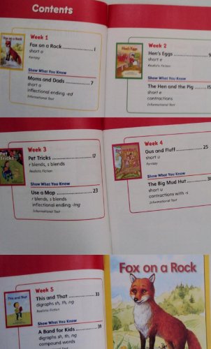 Beispielbild fr Our Families Our Neighbors: 5 Children Stories in 1 Phonics & Comprehension Grade 1 (Decodable Reader) zum Verkauf von ThriftBooks-Dallas