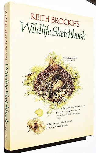9780025164505: Keith Brockie's Wildlife Sketchbook