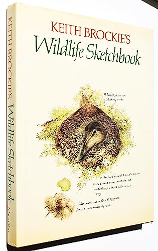 Imagen de archivo de Keith Brockies Wildlife Sketchbook a la venta por Goodwill Books