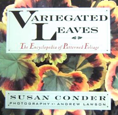 Beispielbild fr Variegated Leaves: The Encyclopedia of Patterned Foliage zum Verkauf von Wonder Book