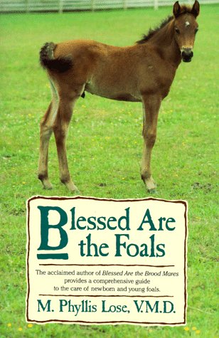9780025752306: Blessed are the Foals
