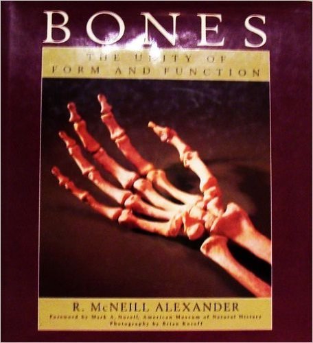 Beispielbild fr Bones: The Unity of Form and Function zum Verkauf von Rosebud Books