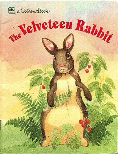 Stock image for MrGraw Hill: The Velveteen Rabbit for sale by Better World Books