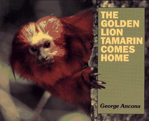9780027009057: The Golden Lion Tamarin Comes Home