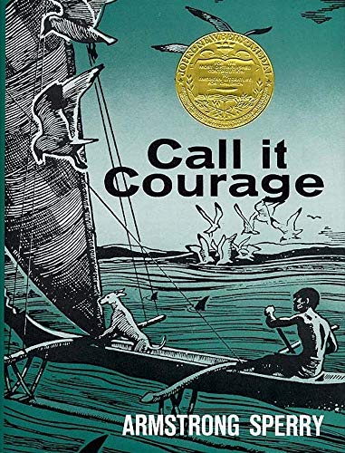Beispielbild fr Call it Courage zum Verkauf von WorldofBooks