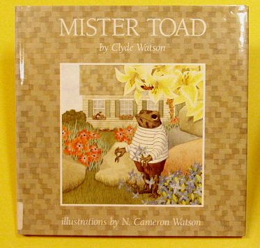 Beispielbild fr Mister Toad zum Verkauf von ThriftBooks-Dallas