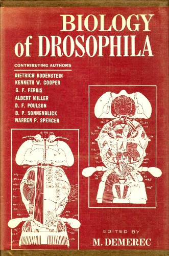 Imagen de archivo de Biology of Drosophila a la venta por harvardyard