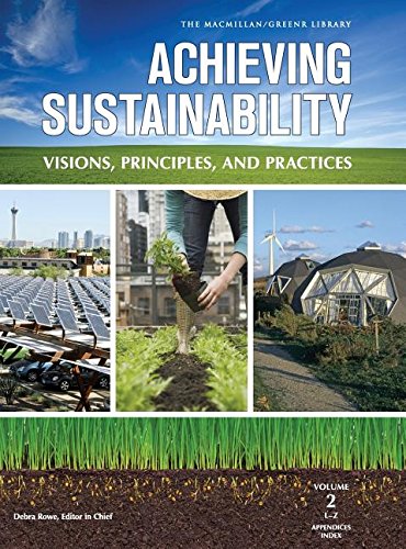 9780028662039: Achieving Sustainability: Visions, Principles, and Practices