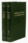 Stock image for Dictionary of Judaism in the Biblical Period: 450 B.C.E. to 600 C.E. In Two Volumes for sale by Henry Hollander, Bookseller