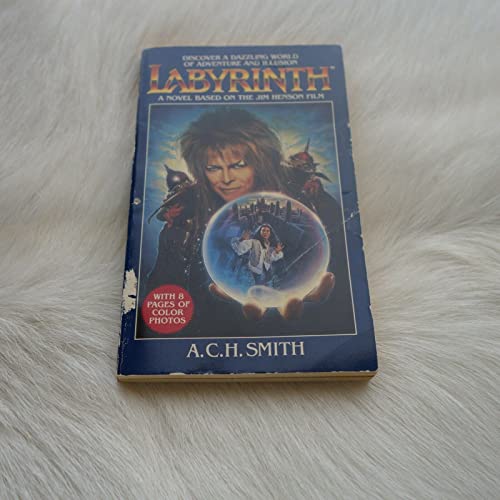 9780030073229: Labyrinth: A Novel