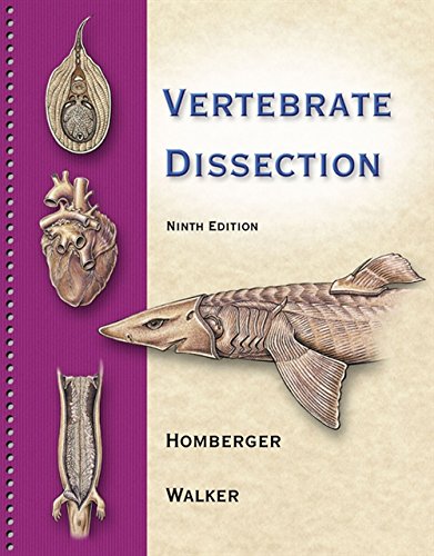 Stock image for Vertebrate Dissection for sale by HPB-Red