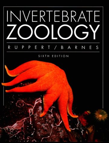 Beispielbild fr Invertebrate Zoology zum Verkauf von Anybook.com