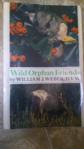 Wild Orphan Friends (Holt Owlet) (9780030568220) by Weber, William J.