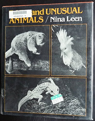 Beispielbild fr Rare and Unusual Animals zum Verkauf von Wonder Book