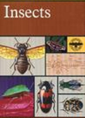 Stock image for An introduction to the study of insects for sale by SecondSale