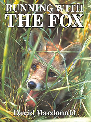 Beispielbild fr Running with the Fox zum Verkauf von AwesomeBooks