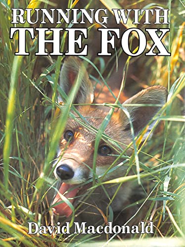 Stock image for Running with the Fox for sale by AwesomeBooks