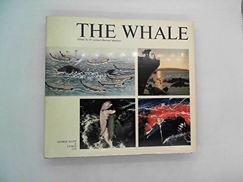 Stock image for Whale for sale by Bailey's Bibliomania