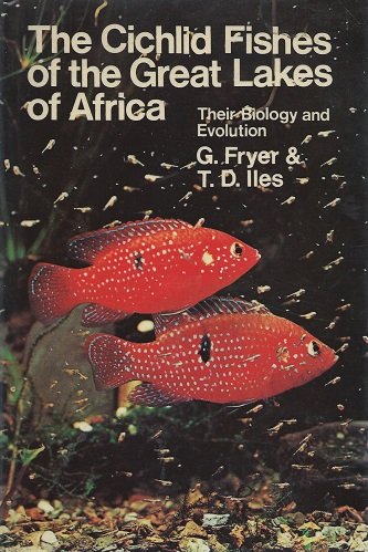 Beispielbild fr The cichlid fishes of the great lakes of Africa : their biology and evolution. zum Verkauf von Wissenschaftliches Antiquariat Kln Dr. Sebastian Peters UG