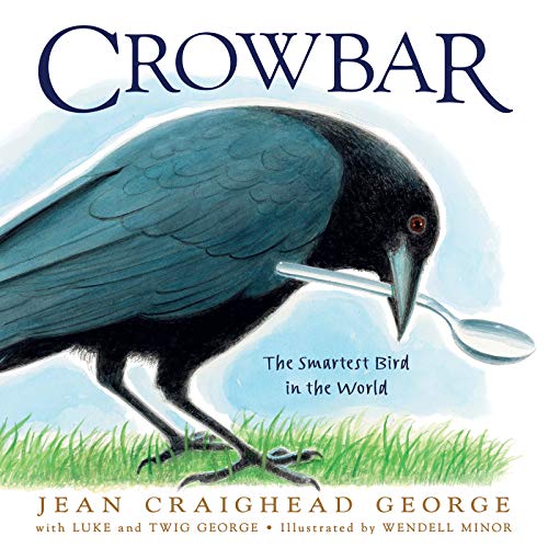 Imagen de archivo de Crowbar: The Smartest Bird in the World a la venta por ThriftBooks-Atlanta