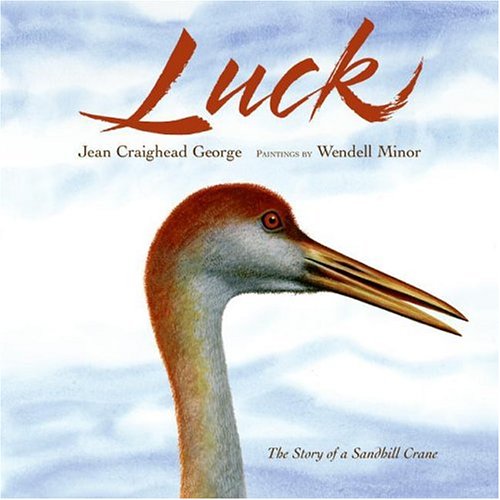 Beispielbild fr Luck : The Story of a Sandhill Crane zum Verkauf von Better World Books