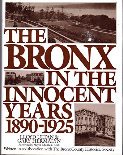 Stock image for The Bronx in the Innocent Years, 1890-1925 for sale by Front Cover Books