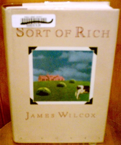 Beispielbild fr Sort of Rich: A Novel zum Verkauf von Wonder Book