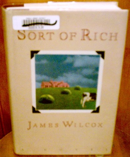 Stock image for Sort of Rich: A Novel for sale by Wonder Book