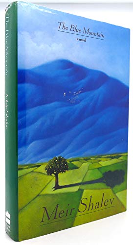 Beispielbild fr The Blue Mountain: A Novel zum Verkauf von Half Price Books Inc.
