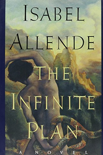 9780060170165: The Infinite Plan: A Novel
