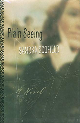 9780060173425: Plain Seeing: A Novel