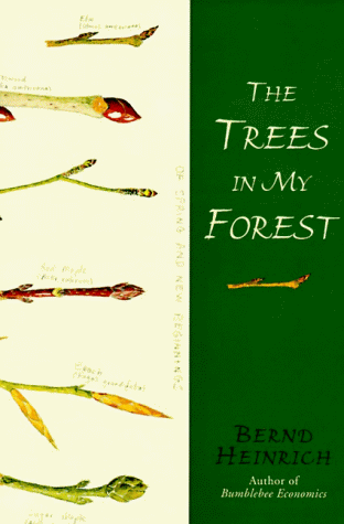 Stock image for The Trees in My Forest for sale by Better World Books