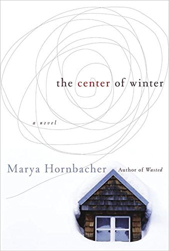 Imagen de archivo de The Center of Winter: A Novel a la venta por Gulf Coast Books