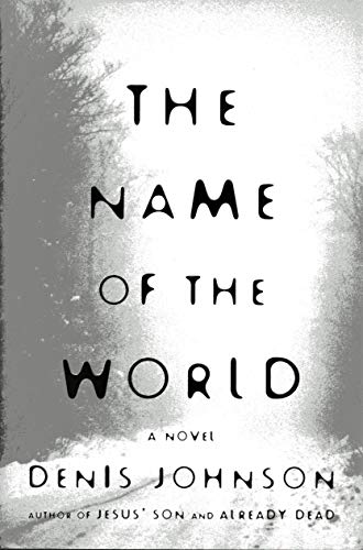 9780060192488: The Name of the World: A Novel