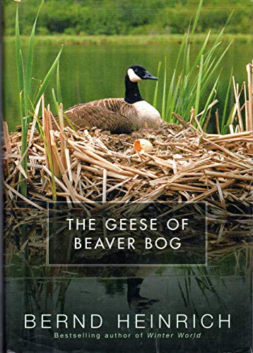Beispielbild für The Geese of Beaver Bog zum Verkauf von Wonder Book