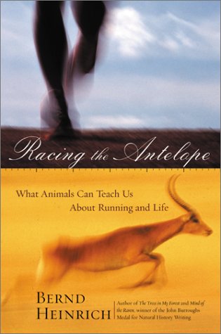 Stock image for Racing the Antelope: What Animals Can Teach Us About Running and Life for sale by BooksRun