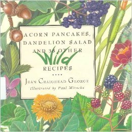 Stock image for Acorn Pancakes, Dandelion Salad and 38 Other Wild Recipes for sale by Ergodebooks