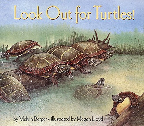 Stock image for Look Out for Turtles! for sale by Better World Books