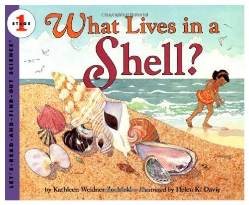 Imagen de archivo de What Lives in a Shell? a la venta por Better World Books