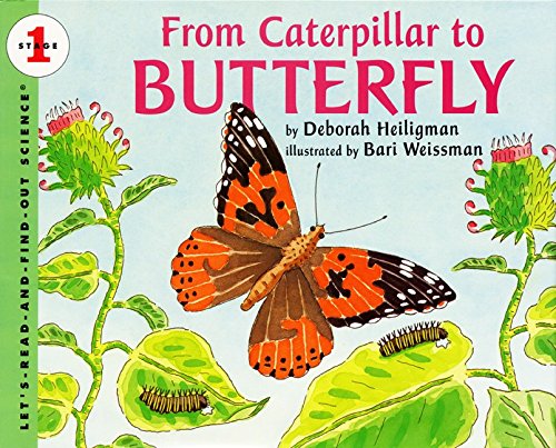 Stock image for From Caterpillar to Butterfly (Let's-Read-and-Find-Out Science 1) for sale by Once Upon A Time Books