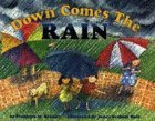 Imagen de archivo de Down Comes the Rain (Let'S-Read-And-Find-Out Science. Stage 2) a la venta por HPB-Ruby