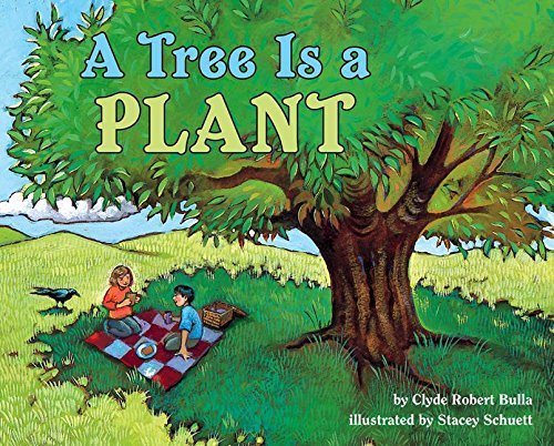 A Tree Is a Plant (Let's-Read-and-Find-Out Science) - Bulla, Clyde Robert