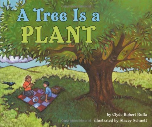 Stock image for A Tree Is a Plant for sale by Better World Books