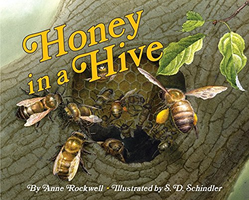 9780060285661: Honey in a Hive (Let's-Read-and-Find-Out Science Books)