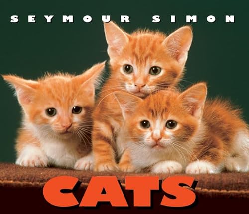 Cats - Simon, Seymour
