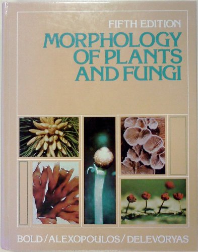 Stock image for Morphology of Plants and Fungi for sale by Abyssbooks