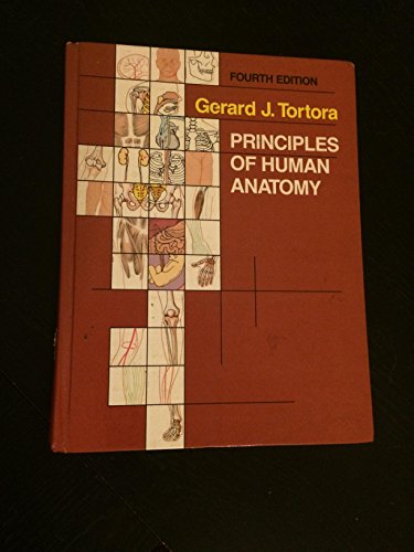 Stock image for Principles Of Human Anatomy * Fourth Edition for sale by Irish Booksellers